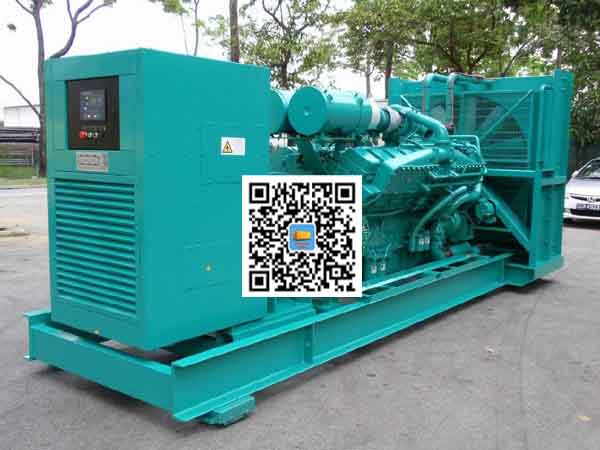 东兰租赁发电机-康明斯发电机性价比还是比较高的