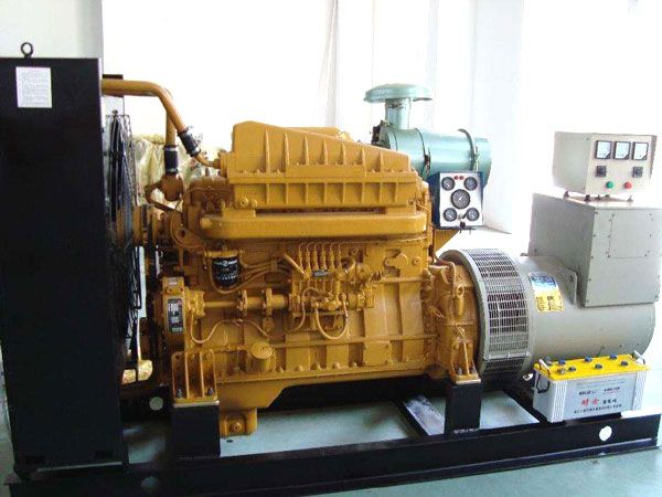 东兰有哪些有效的方法可以预防柴油发电机组的蓄电池出现硫化现象？